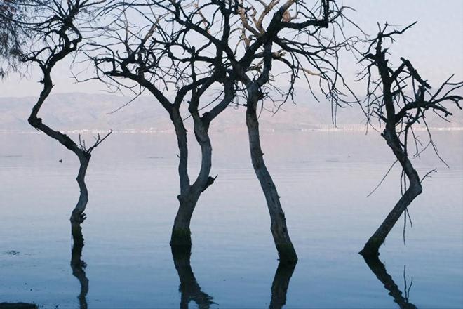 昆明旅行社口碑天花板 2026 云南纯玩无套路排行榜前十全推